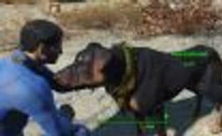 Мод для Fallout 4 позволяет погладить любую собаку в игре