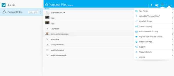 Веб-интерфейс Copy