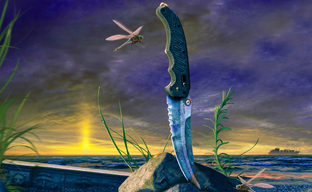 Valve забанила игрока в CS GO с инвентарём на $500000 из-за одного комментария