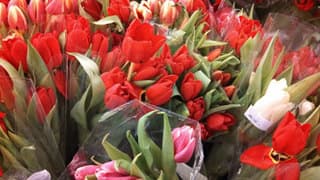 Внешняя камера Внешняя камера