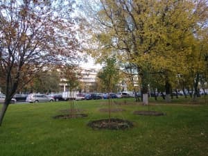 камера Oppo Finder — примеры снимков