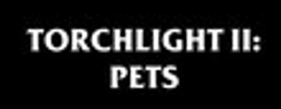 Трейлер Torchlight II