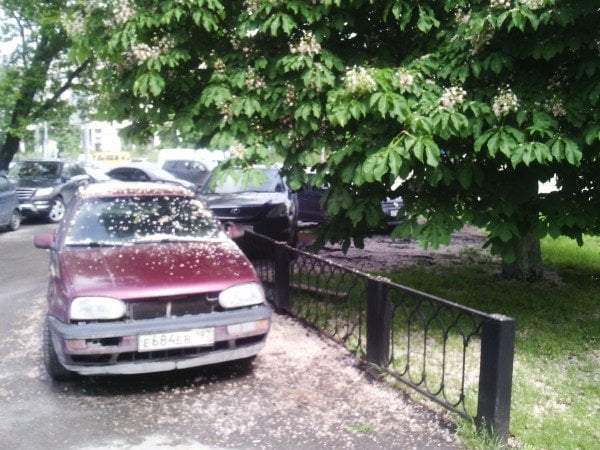 Снимок тыловой камерой Cube U30GT2