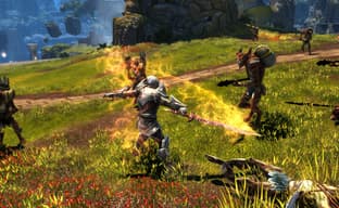 Владельцы Kingdoms of Amalur получат существенную скидку на обновлённую версию для PC