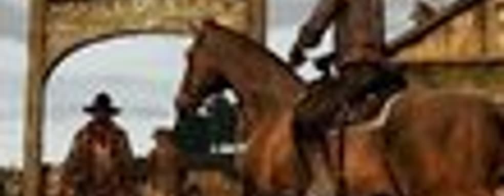 Демонстрация игрового процесса Red Dead Redemption