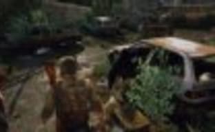 Прекрасные пустоши The Last of Us 