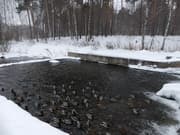 Видеосъемка фотоаппаратом Panasonic DMC-FZ300