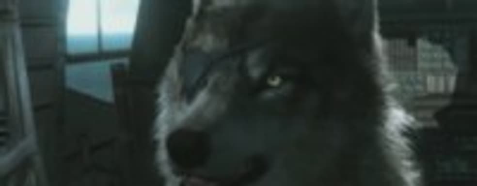 Новый персонаж Metal Gear Solid V: The Phantom Pain - DD