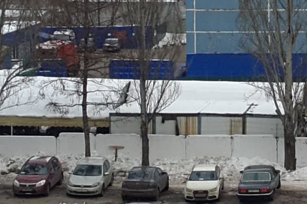 Фотография, сделанная на тыловую камеру планшета Google Nexus 10