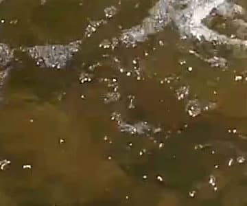 Экшн-камера Nikon KeyMission 80