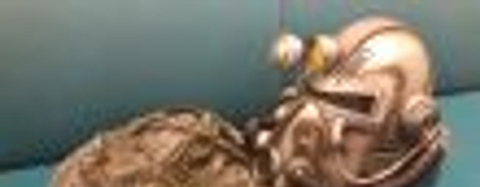 Даже здесь обман: купи издание Fallout 76 за 200 долларов и получи сумку плохого качества