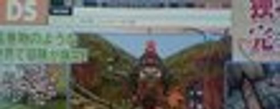 Okamiden на DS в следующем году