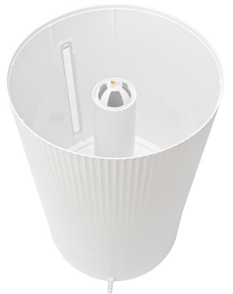 Бак вид сверху