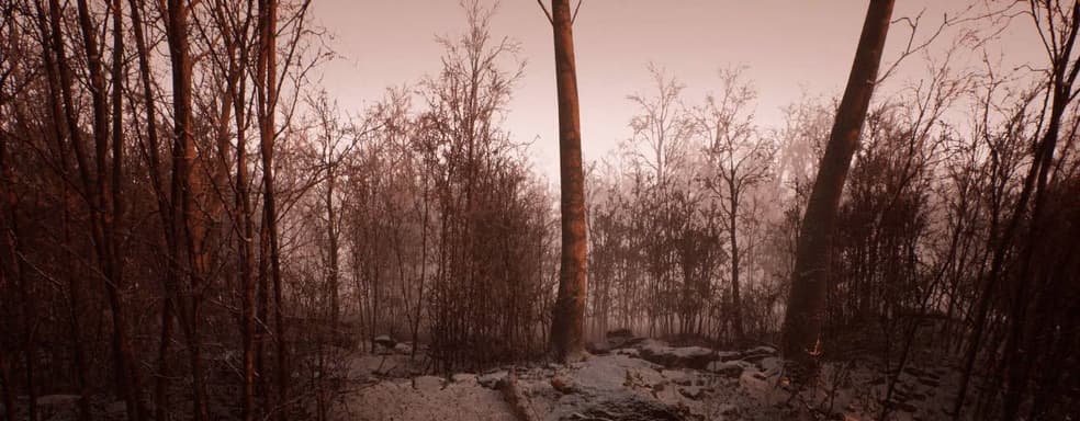 Creator of the "new Silent Hill" Abandoned shared a photo of the island. In Japanese, it's called Kojima