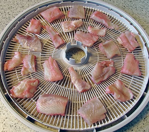 Дегидратор Ezidri Ultra FD1000