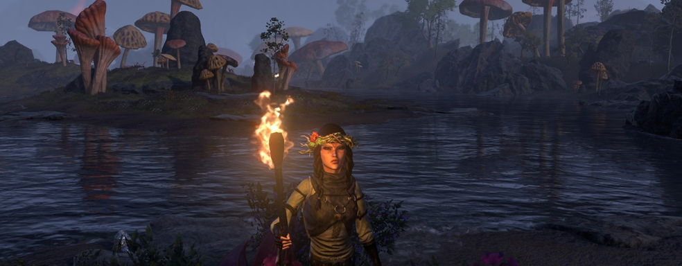 В The Elder Scrolls Online появилась поддержка модов на консолях