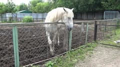 Видеокамера Sony HDR-CX900