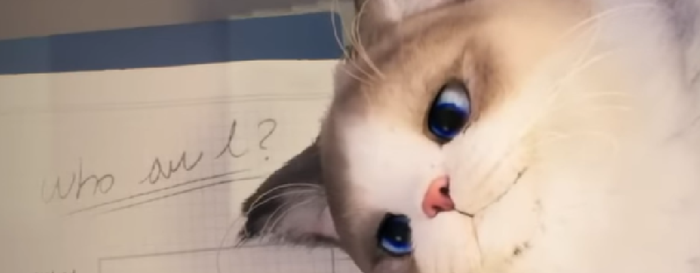 «Убийца The Sims» на UE5 выйдет в 2024 году. Krafton подтвердила релиз симулятора жизни inZOI