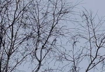 Видеосъемка фотоаппаратом Fujifilm X-T2