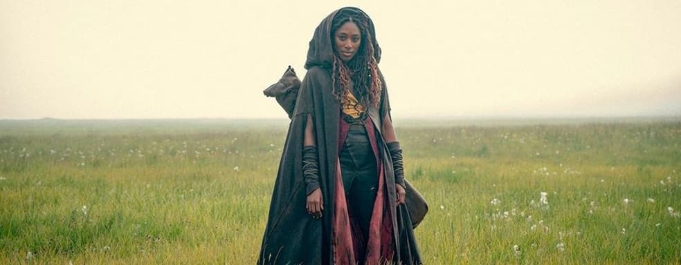 Приквел «Ведьмака» уничтожили критики и ненавидят простые зрители