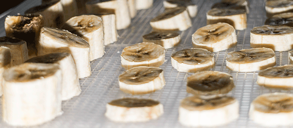 Дегидратор Rawmid DDV-06/07