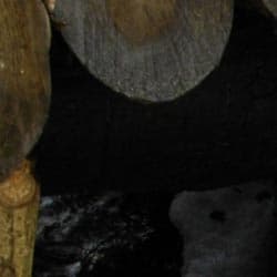 фрагмент 1:1