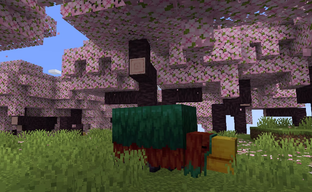 Minecraft получит новый биом. Mojang представила долгожданный контент