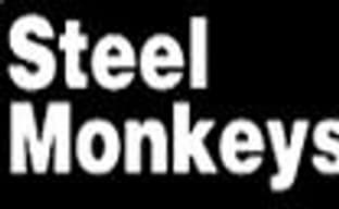 Steel Monkeys - официальный разработчик игр для Wii