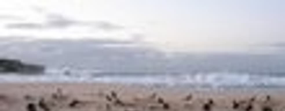 Необычная реклама BioShock 2