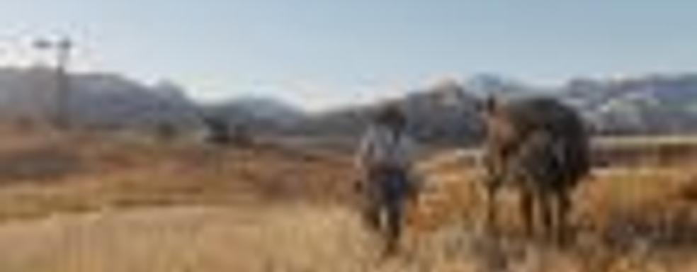 Слух: Red Dead Redemption 2 поступит в продажу 8 июня 2018 года