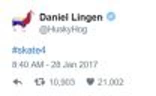 Представитель Electronic Arts намекает на то, что Skate 4 в разработке