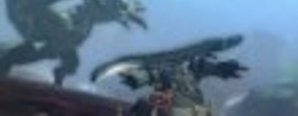 Monster Hunter 4 в марте 2013