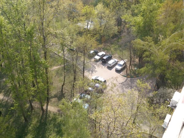 камера Sony Xperia P — примеры снимков камера Sony Xperia P — примеры снимков