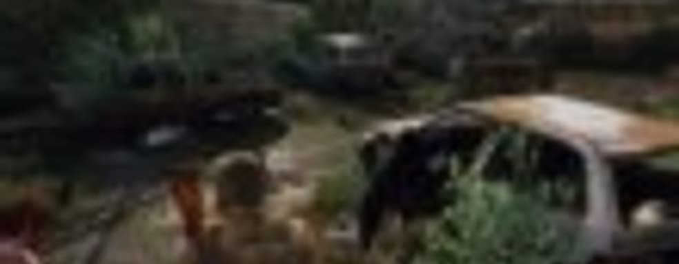 Прекрасные пустоши The Last of Us 