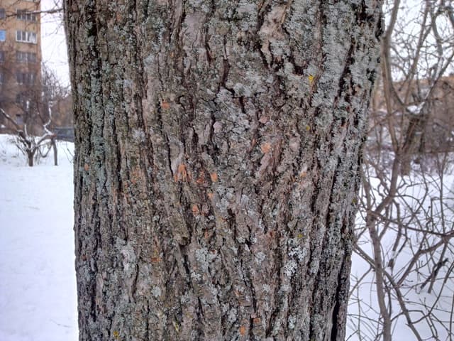 Обзор Huawei Ascend D1 Quad XL. Демонстрационный снимок