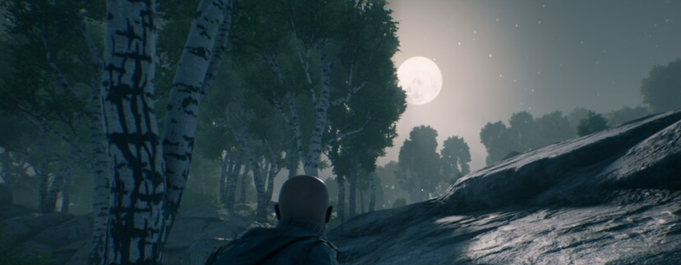 Новинка авторов DayZ и Arma рассыпается на ПК. Игроки в Vigor вынуждены менять ники в Steam, чтобы не остаться без прогресса