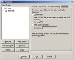 настройка клиента FTP настройка клиента FTP