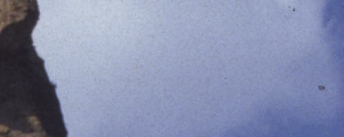 DIMAGE Scan Dual III