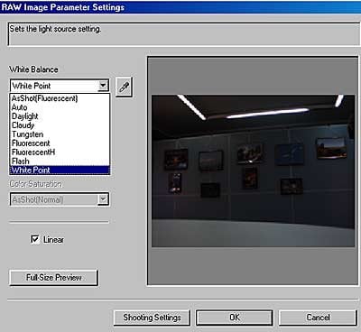 Raw Image Converter