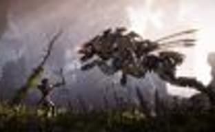 Horizon: Zero Dawn на «золоте», авторы уверяют, что в финальной версии нет проблем с производительностью, распаковка коллекционного издания