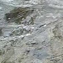 Видеокамера Canon EOS C100