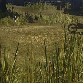 Foliage quality Medium