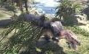 РС-версия Monster Hunter World появится позже консольных