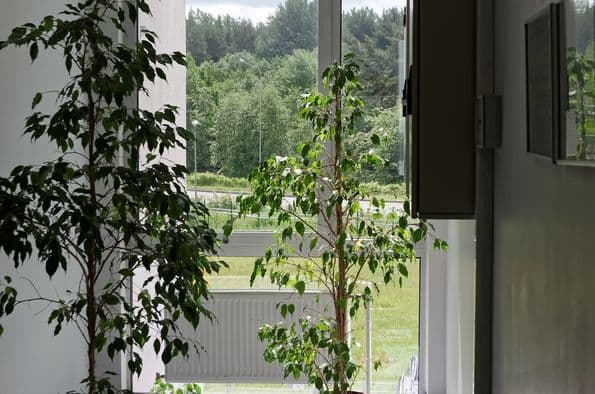 Экскурсия на завод BSH в Санкт-Петербурге