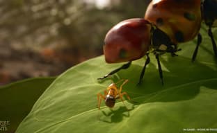 Анонсирована фотореалистичная стратегия в реальном времени о муравьях. Empire of the Ants выйдет на ПК и консолях