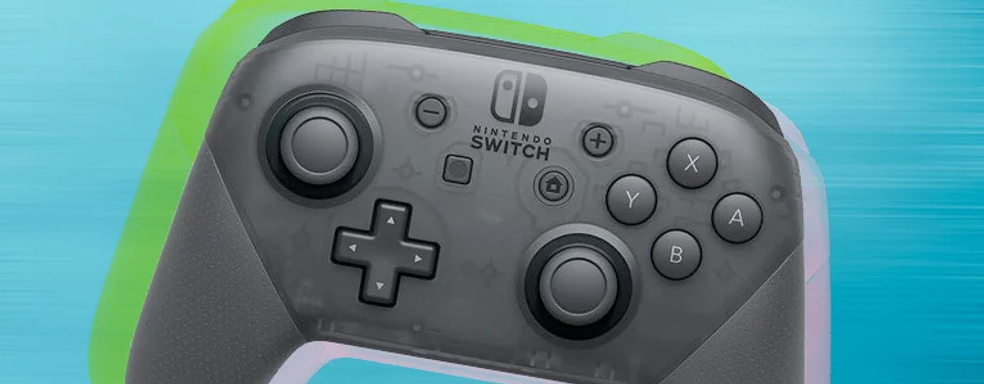 В геймпад Nintendo заселились муравьи. Видео из жизни колонии