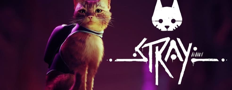 Stray на релизе получит объёмный патч первого дня со множественными улучшениями