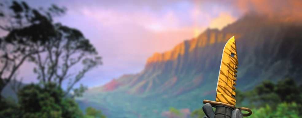 Игрок CS GO спустя 9 лет открыл инвентарь и узнал, что он стоит почти полмиллиона долларов. Неожиданная прибыль, изменившая жизнь