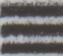 Фрагмент полоски