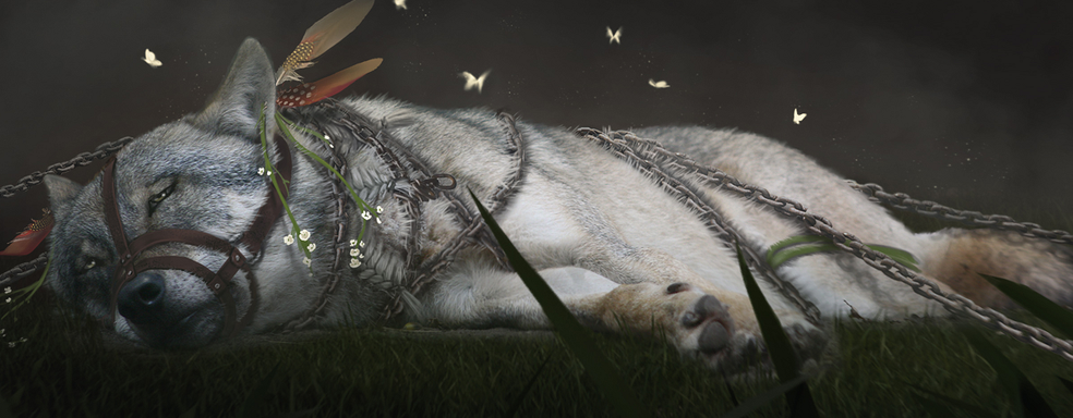 Авторы Warframe запустили русскоязычный сайт игры Soulframe с загадкой и новыми артами, обещают подарок за регистрацию